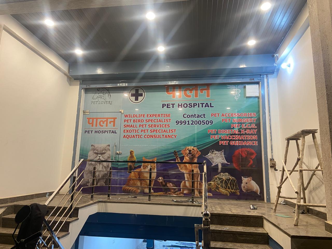 Paalan Pet Hospital